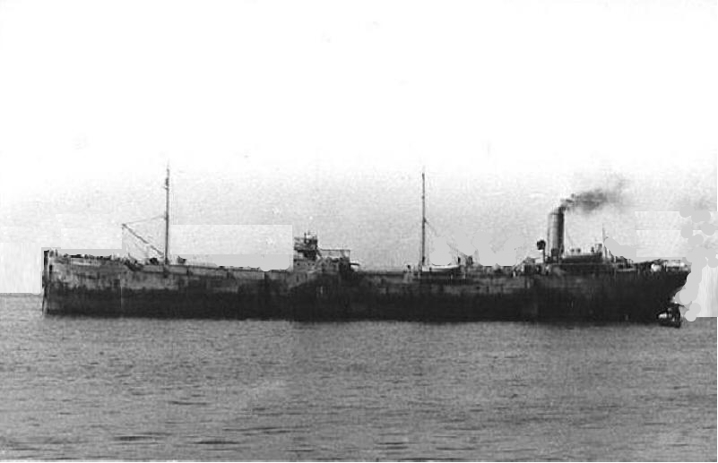 RFA Fernleaf